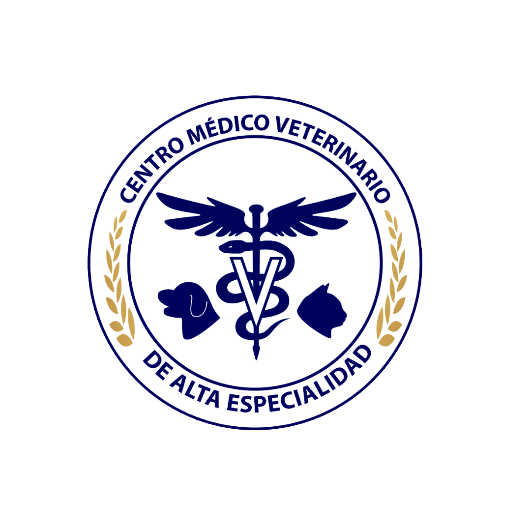 vet
